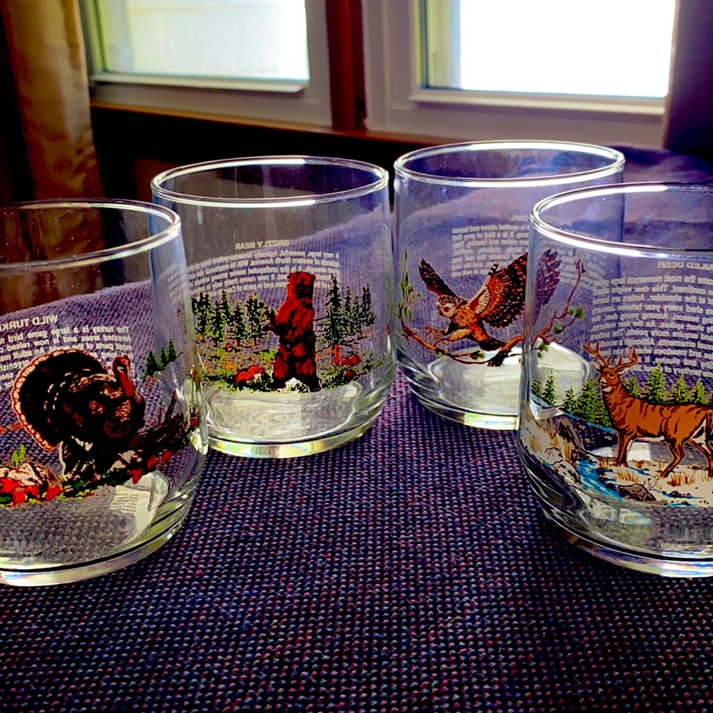 VTG American Wildlife